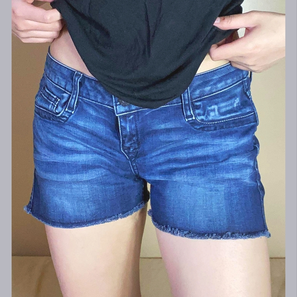 Bleulab Reversible Curve Denim Shorts